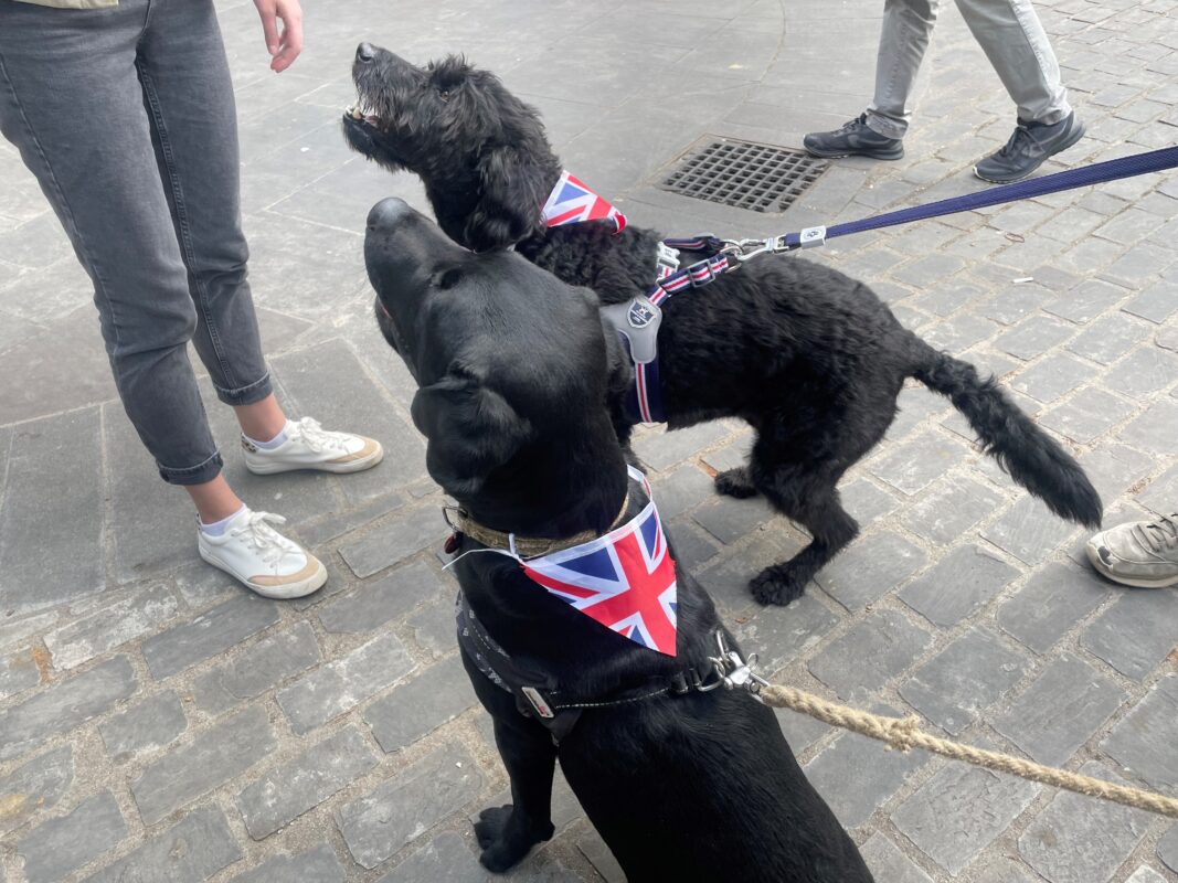Jubilee Beacon Day Positively Putney
