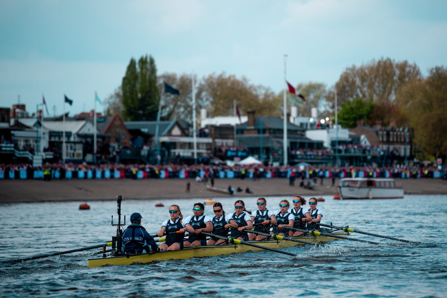 Putney Rowing Print Rowing in Putney 2026 - Positively Putney